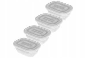 Zestaw pojemników do mrożenia Rotho FREEZE 4x0,5l