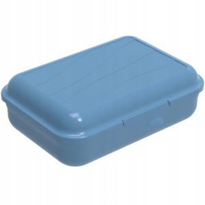 Pojemnik lunchbox Rotho FUN S 0,9l horizon blue